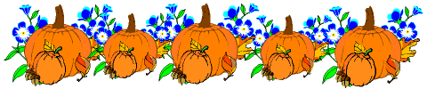fg_pumkinblueflowersbar.gif