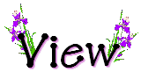 fgeasterview_view.gif