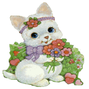kitten.gif