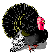 Turkey Graphics